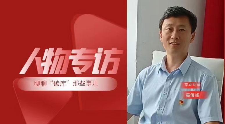 森林這個碳庫究竟有多大？生態(tài)修復碳匯造林的主戰(zhàn)場應該在哪？