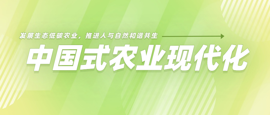 內(nèi)蒙古鹽堿地改良有什么優(yōu)勢？這篇文章告訴你